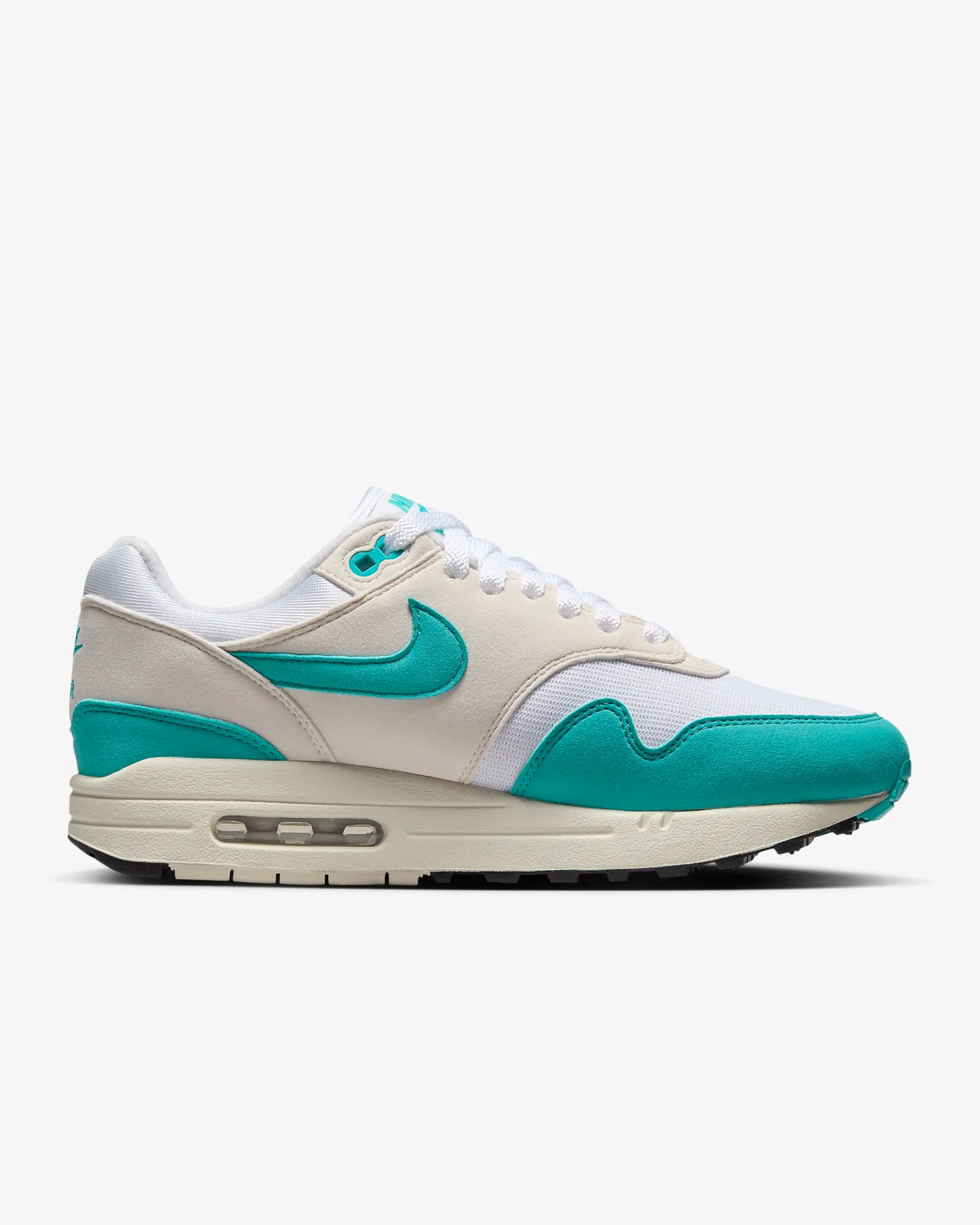 Nike Air Max 1 Dusty Cactus