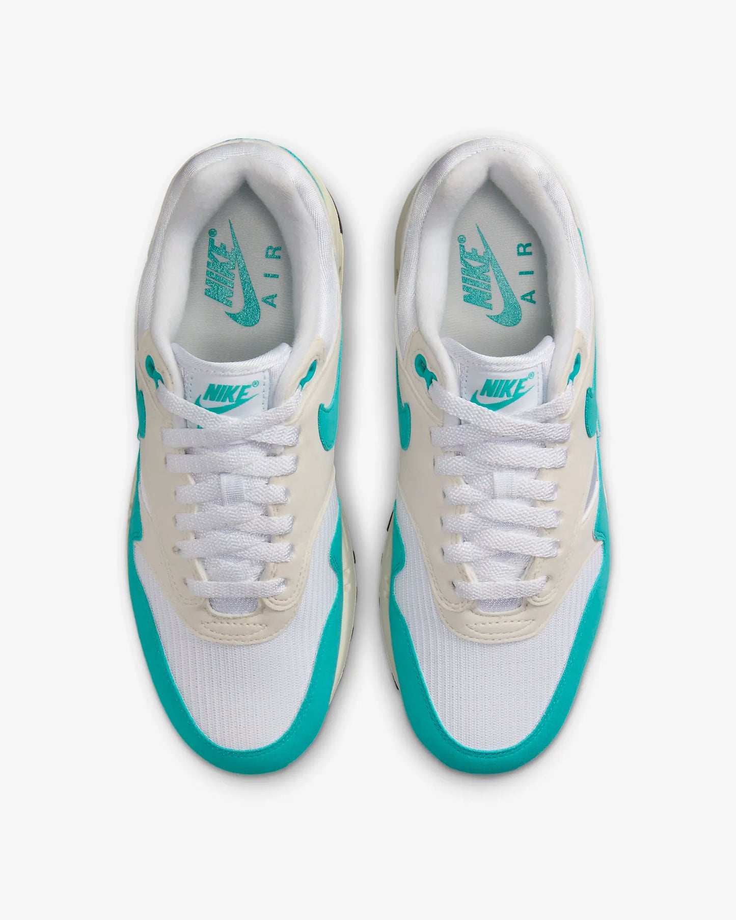 Nike Air Max 1 Dusty Cactus