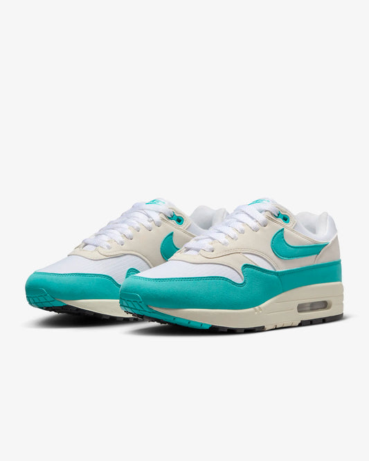 Nike Air Max 1 Dusty Cactus