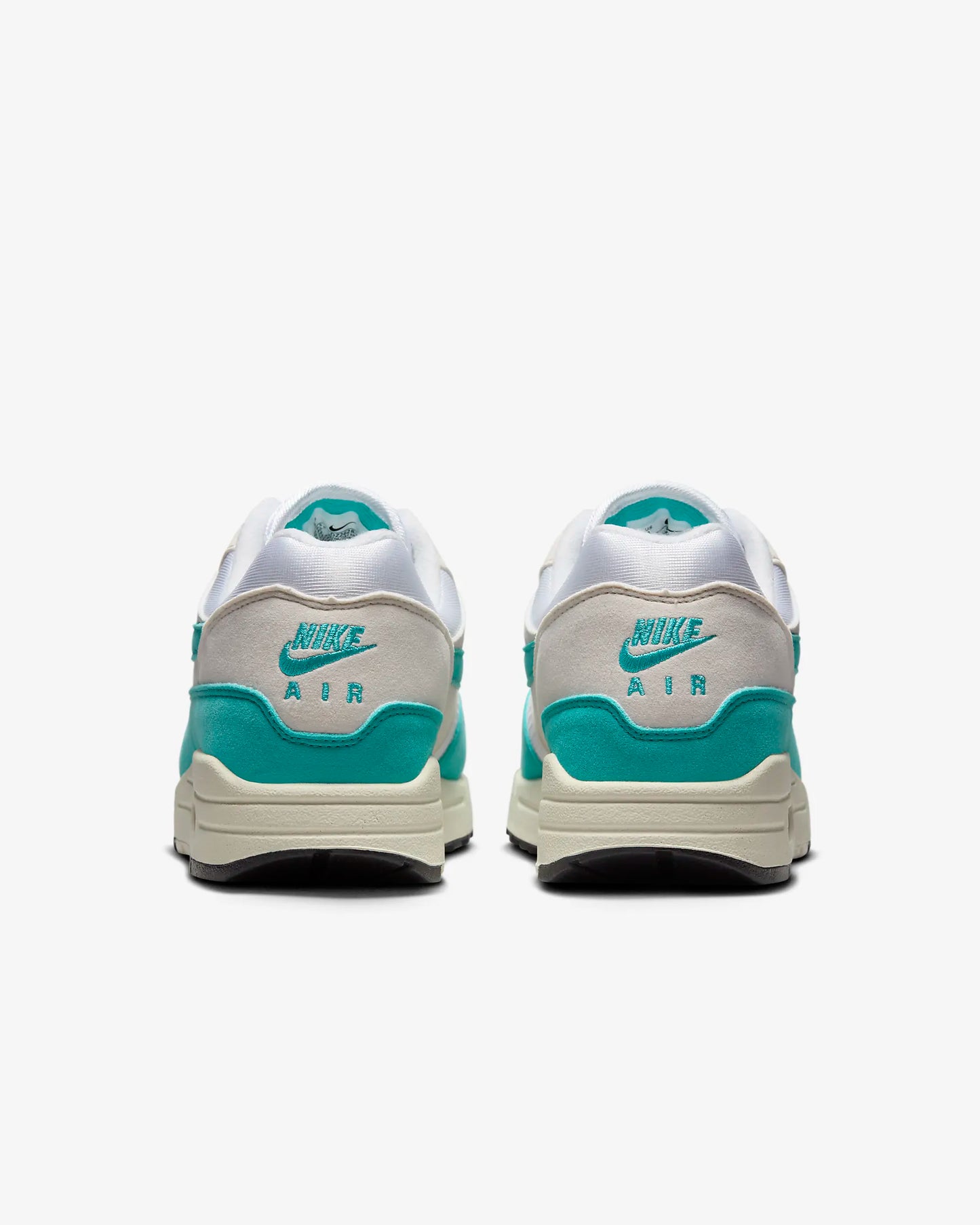 Nike Air Max 1 Dusty Cactus