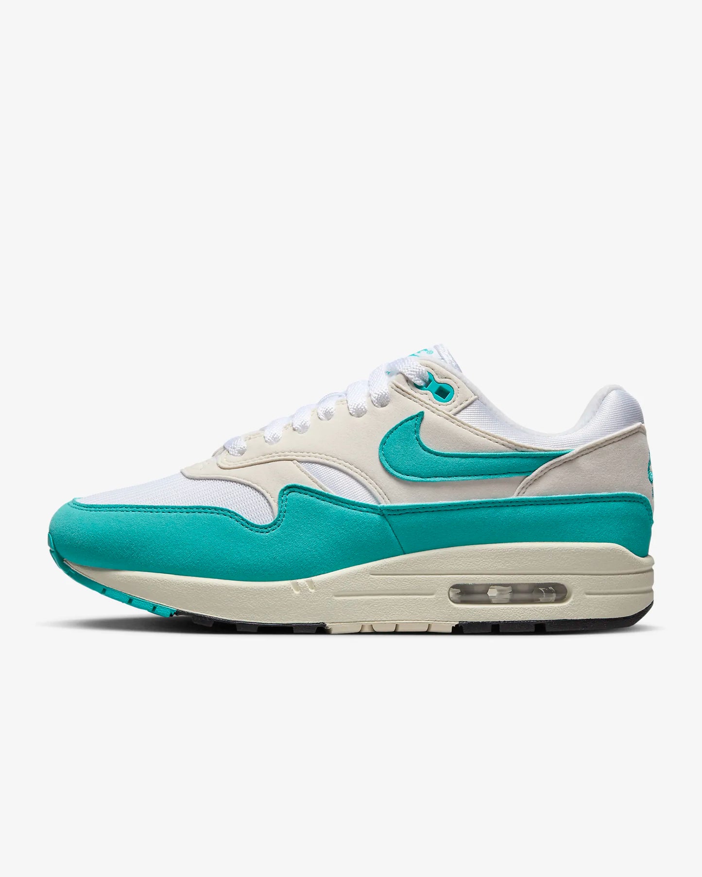 Nike Air Max 1 Dusty Cactus