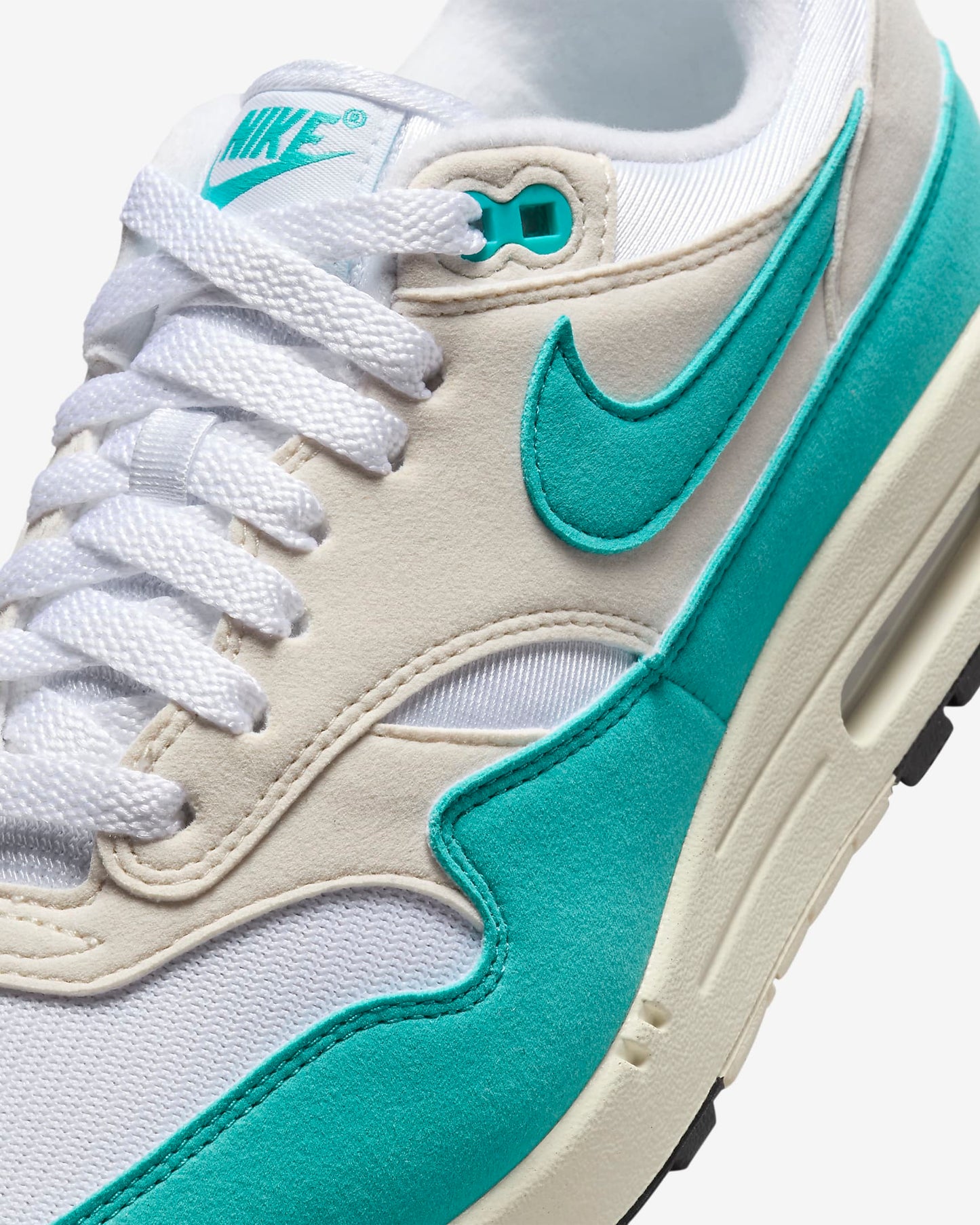 Nike Air Max 1 Dusty Cactus